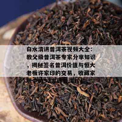 白水清讲普洱茶视频大全：教父级普洱茶专家分享知识，揭秘签名普洱价值与恒大老板许家印的交易，收藏家眼中的92方砖普洱珍品