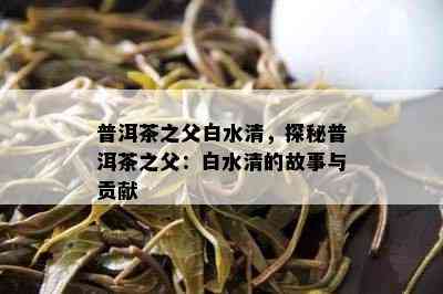 普洱茶之父白水清，探秘普洱茶之父：白水清的故事与贡献