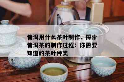 普洱用什么茶叶制作，探索普洱茶的制作过程：你需要知道的茶叶种类