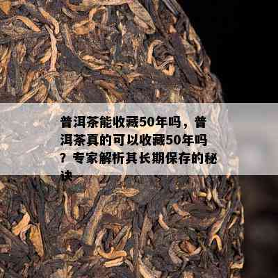 普洱茶能收藏50年吗，普洱茶真的可以收藏50年吗？专家解析其长期保存的秘诀