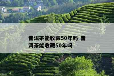 普洱茶能收藏50年吗-普洱茶能收藏50年吗