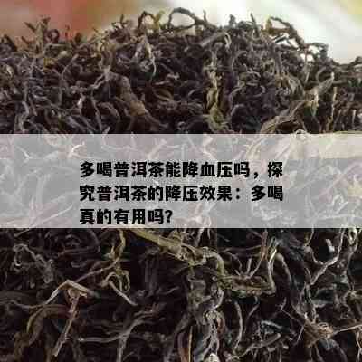 多喝普洱茶能降血压吗，探究普洱茶的降压效果：多喝真的有用吗？