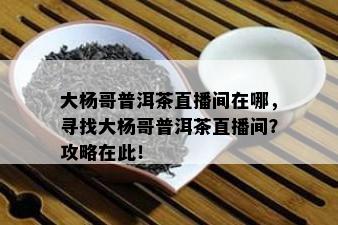 大杨哥普洱茶直播间在哪，寻找大杨哥普洱茶直播间？攻略在此！