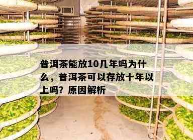 普洱茶能放10几年吗为什么，普洱茶可以存放十年以上吗？原因解析