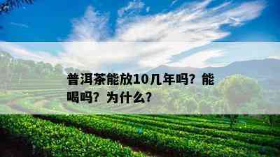 普洱茶能放10几年吗？能喝吗？为什么？