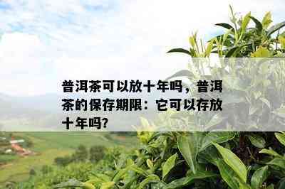 普洱茶可以放十年吗，普洱茶的保存期限：它可以存放十年吗？