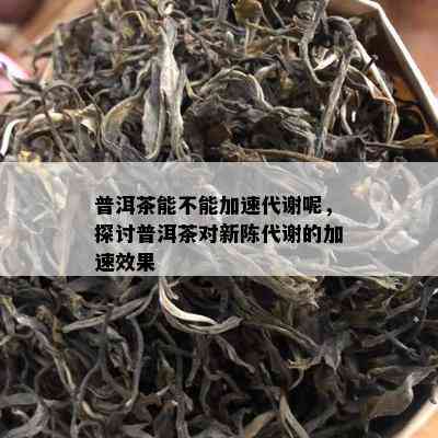 普洱茶能不能加速代谢呢，探讨普洱茶对新陈代谢的加速效果