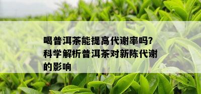 喝普洱茶能提高代谢率吗？科学解析普洱茶对新陈代谢的影响