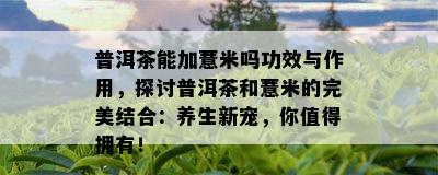 普洱茶能加薏米吗功效与作用，探讨普洱茶和薏米的完美结合：养生新宠，你值得拥有！