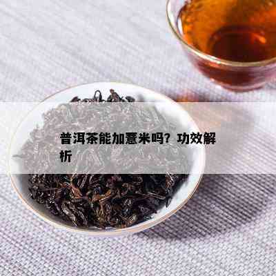 普洱茶能加薏米吗？功效解析