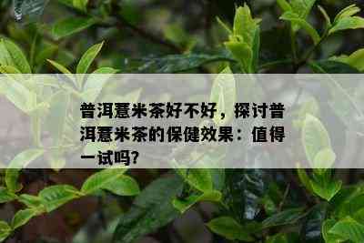 普洱薏米茶好不好，探讨普洱薏米茶的保健效果：值得一试吗？