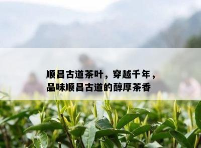 顺昌古道茶叶，穿越千年，品味顺昌古道的醇厚茶香