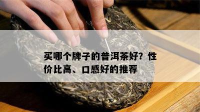 买哪个牌子的普洱茶好？性价比高、口感好的推荐