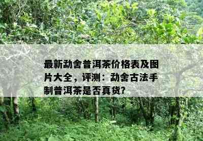 最新勐舍普洱茶价格表及图片大全，评测：勐舍古法手制普洱茶是否真货？