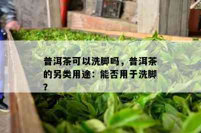 普洱茶可以洗脚吗，普洱茶的另类用途：能否用于洗脚？