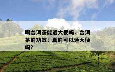 喝普洱茶能通大便吗，普洱茶的功效：真的可以通大便吗？