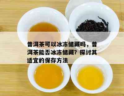 普洱茶可以冰冻储藏吗，普洱茶能否冰冻储藏？探讨其适宜的保存方法