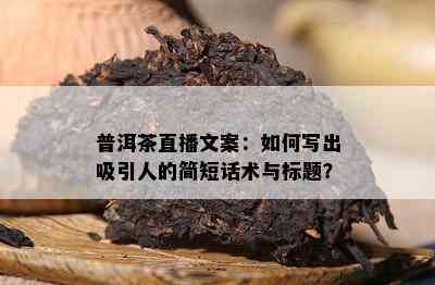 普洱茶直播文案：如何写出吸引人的简短话术与标题？