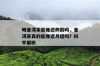 喝普洱茶能推迟例假吗，普洱茶真的能推迟月经吗？科学解析