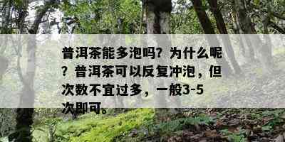 普洱茶能多泡吗？为什么呢？普洱茶可以反复冲泡，但次数不宜过多，一般3-5次即可。