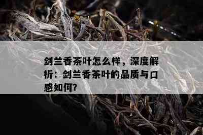 剑兰香茶叶怎么样，深度解析：剑兰香茶叶的品质与口感如何？