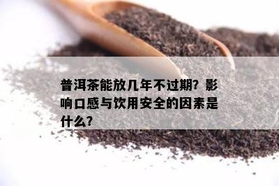 普洱茶能放几年不过期？影响口感与饮用安全的因素是什么？