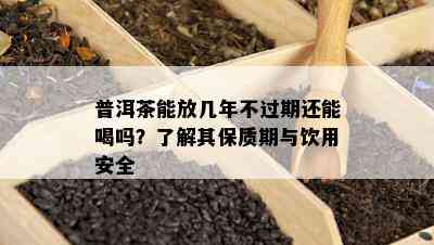 普洱茶能放几年不过期还能喝吗？了解其保质期与饮用安全