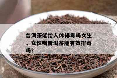 普洱茶能给人体排吗女生，女性喝普洱茶能有效排吗？