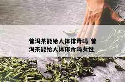 普洱茶能给人体排吗-普洱茶能给人体排吗女性