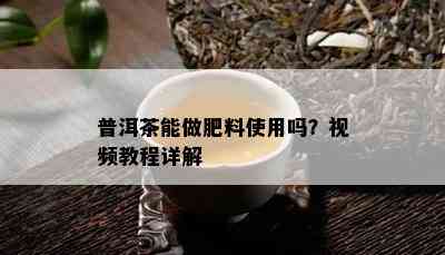 普洱茶能做肥料使用吗？视频教程详解