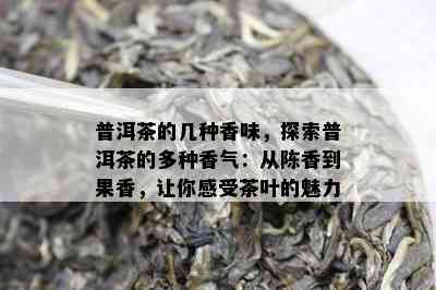 普洱茶的几种香味，探索普洱茶的多种香气：从陈香到果香，让你感受茶叶的魅力