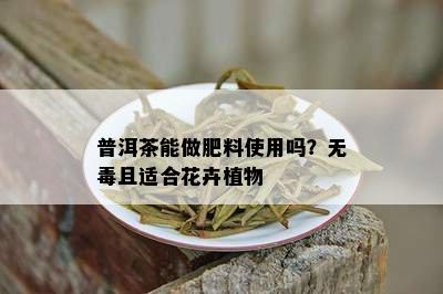 普洱茶能做肥料使用吗？无且适合花卉植物