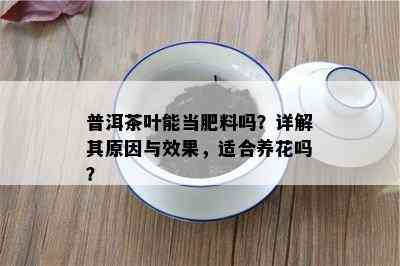 普洱茶叶能当肥料吗？详解其原因与效果，适合养花吗？