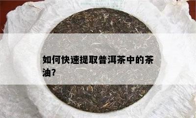 如何快速提取普洱茶中的茶油？