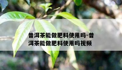 普洱茶能做肥料使用吗-普洱茶能做肥料使用吗视频