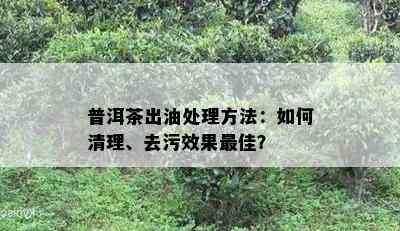 普洱茶出油处理方法：如何清理、去污效果更佳？