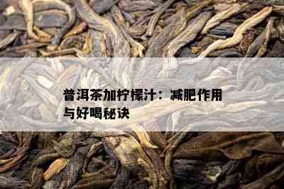 普洱茶加柠檬汁：减肥作用与好喝秘诀