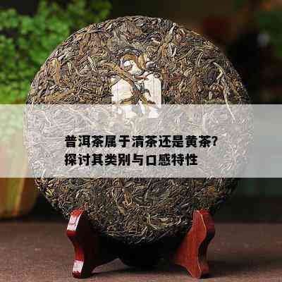 普洱茶属于清茶还是黄茶？探讨其类别与口感特性