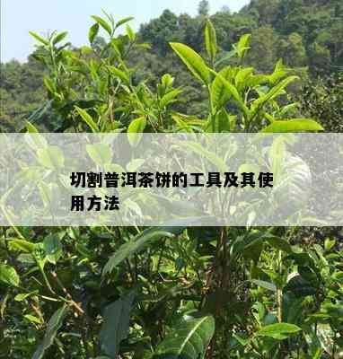 切割普洱茶饼的工具及其使用方法