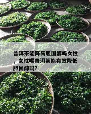 普洱茶能降高胆固醇吗女性，女性喝普洱茶能有效降低胆固醇吗？