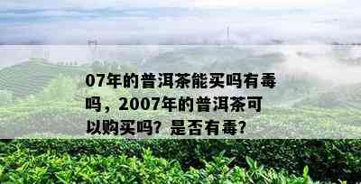 07年的普洱茶能买吗有吗，2007年的普洱茶可以购买吗？是否有？