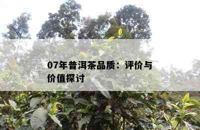 07年普洱茶品质：评价与价值探讨