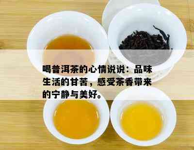 喝普洱茶的心情说说：品味生活的甘苦，感受茶香带来的宁静与美好。