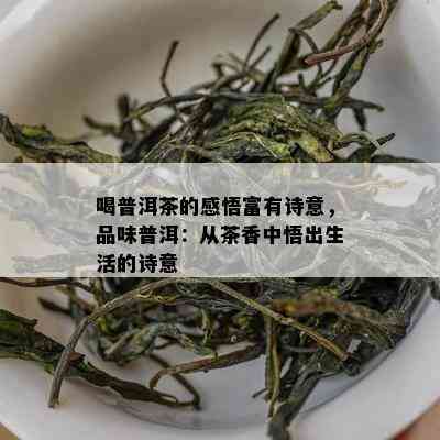 喝普洱茶的感悟富有诗意，品味普洱：从茶香中悟出生活的诗意