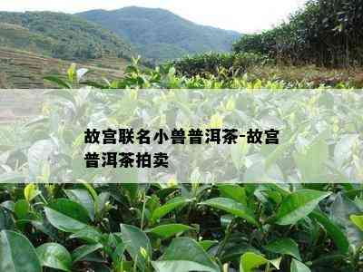 故宫联名小兽普洱茶-故宫普洱茶拍卖