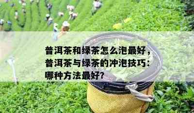 普洱茶和绿茶怎么泡更好，普洱茶与绿茶的冲泡技巧：哪种方法更好？