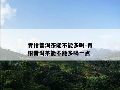 青柑普洱茶能不能多喝-青柑普洱茶能不能多喝一点