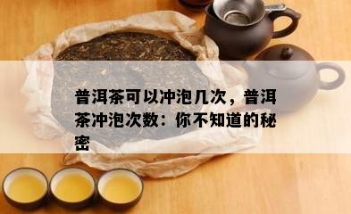 普洱茶可以冲泡几次，普洱茶冲泡次数：你不知道的秘密