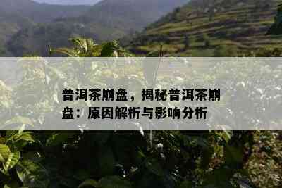 普洱茶崩盘，揭秘普洱茶崩盘：原因解析与影响分析