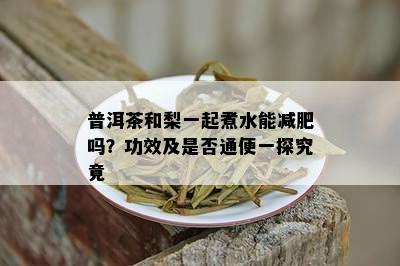 普洱茶和梨一起煮水能减肥吗？功效及是否通便一探究竟